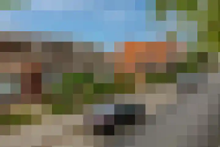 IJsselmondselaan 220 Rotterdam thumbnail 44