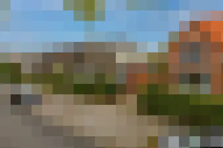 IJsselmondselaan 220 Rotterdam thumbnail 47