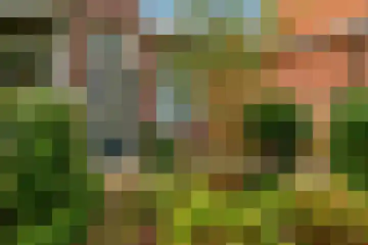 IJsselmondselaan 220 Rotterdam thumbnail 5