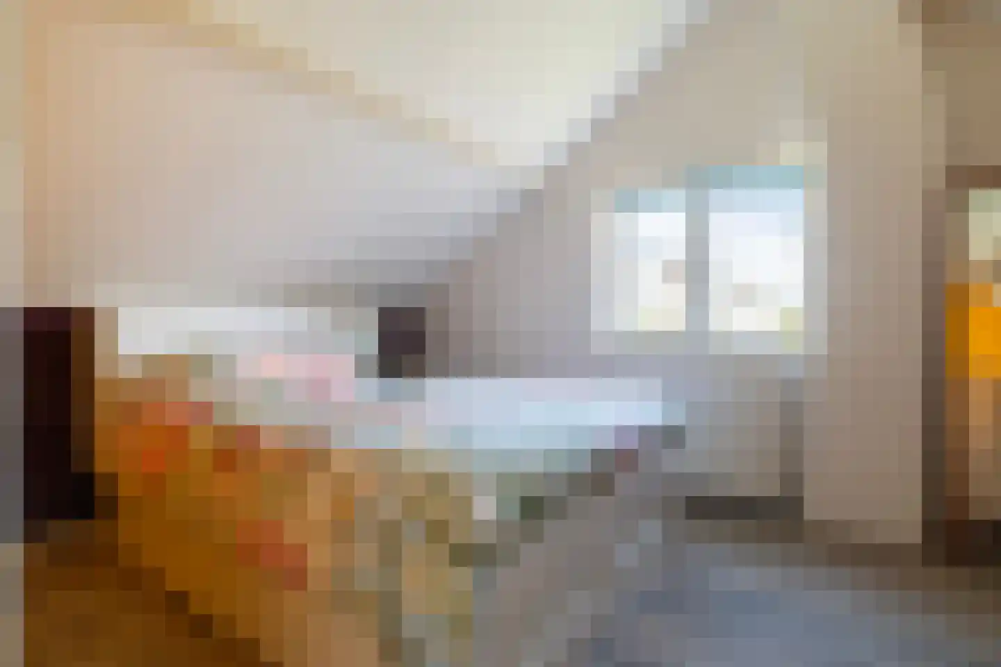 IJsselmondselaan 241 Rotterdam thumbnail 20
