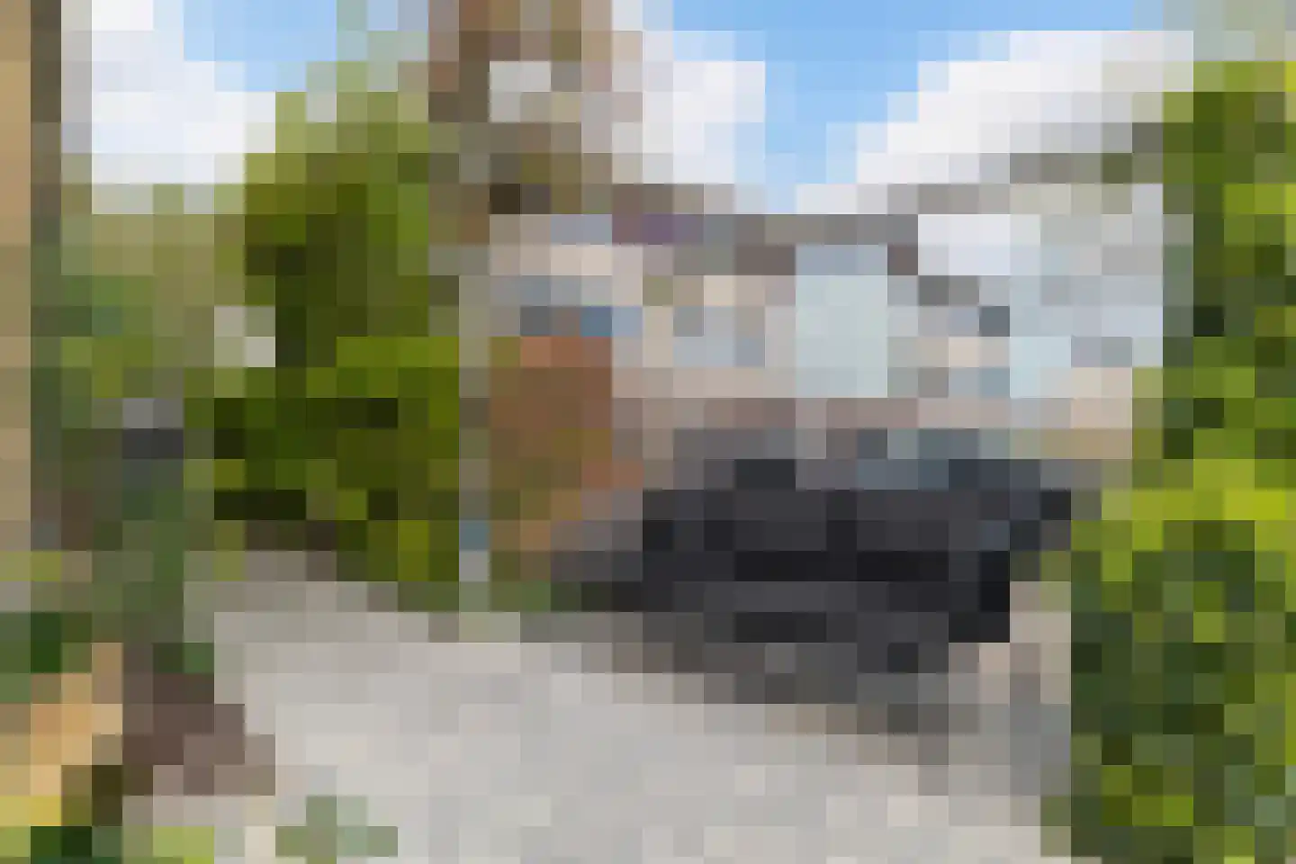 IJsselmondselaan 241 Rotterdam thumbnail 32