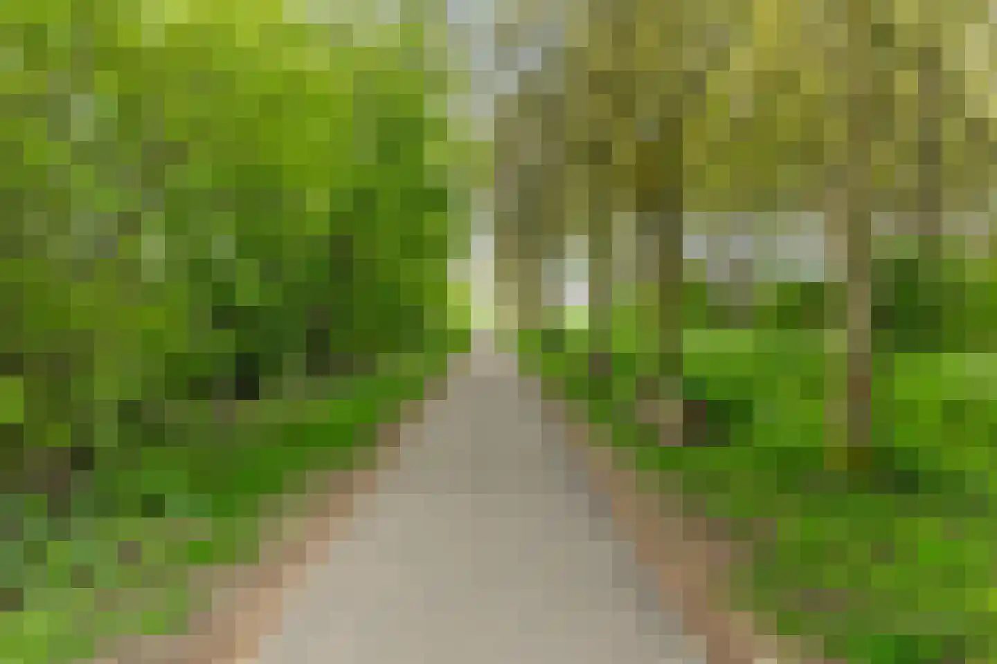 IJsselmondselaan 241 Rotterdam thumbnail 40