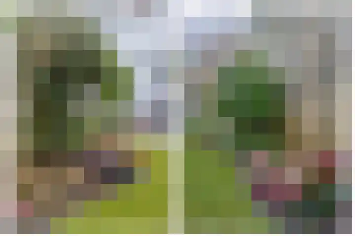 IJsselmondselaan 255 K006 Rotterdam thumbnail 41