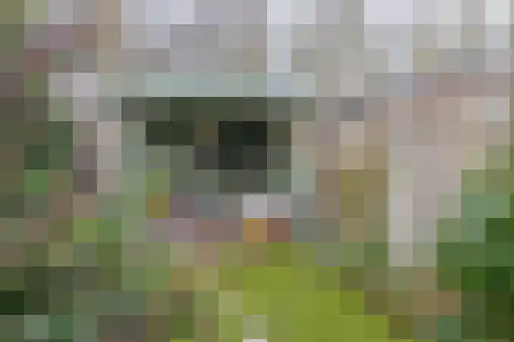 IJsselmondselaan 255 K006 Rotterdam thumbnail 42