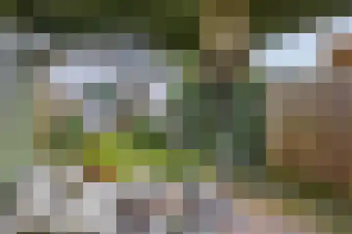 IJsselmondselaan 255 K006 Rotterdam thumbnail 43