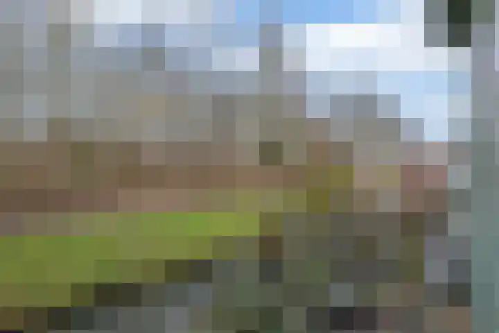 IJsselmondselaan 255 K006 Rotterdam thumbnail 48