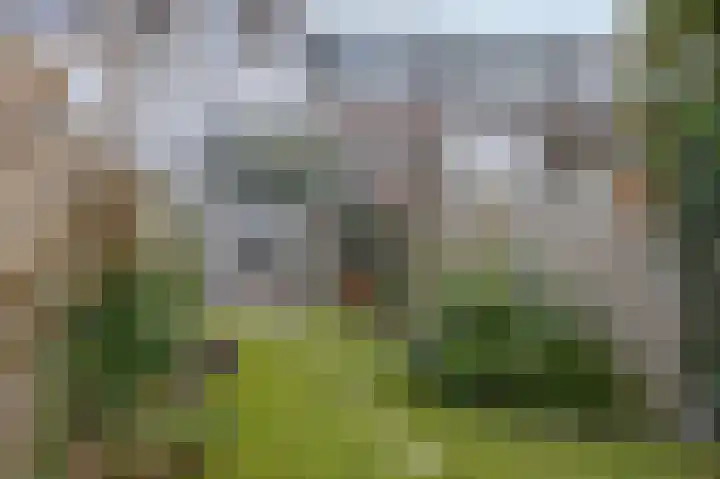 IJsselmondselaan 255 K006 Rotterdam thumbnail 49