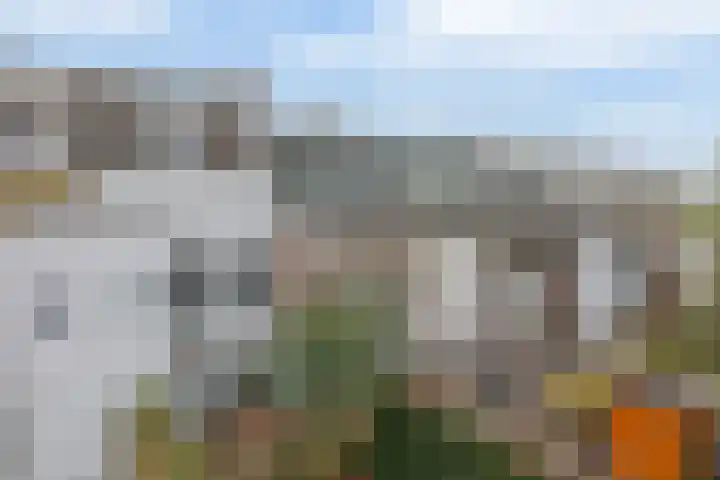 IJsselmondselaan 255 K006 Rotterdam thumbnail 5