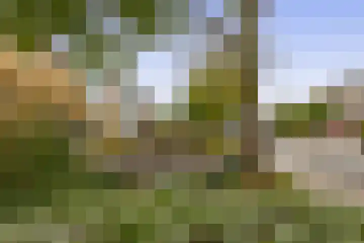 IJsselmondselaan 350 Rotterdam thumbnail 26