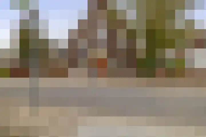 IJsselmondselaan 350 Rotterdam thumbnail 27