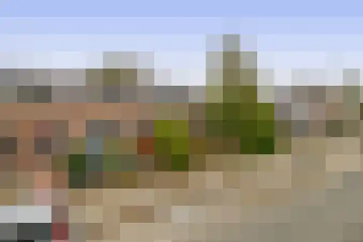 IJsselmondselaan 350 Rotterdam thumbnail 6