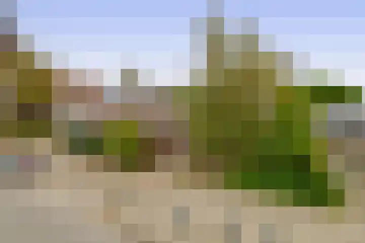 IJsselmondselaan 350 Rotterdam thumbnail 7