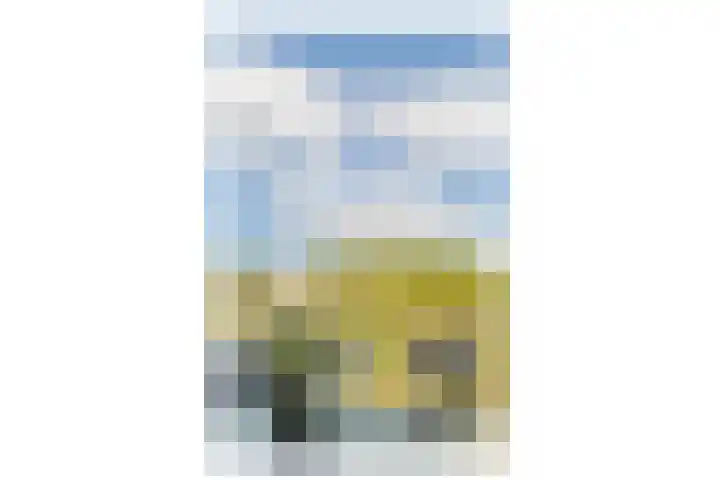 IJsseloogwal 17 Gouda thumbnail 19