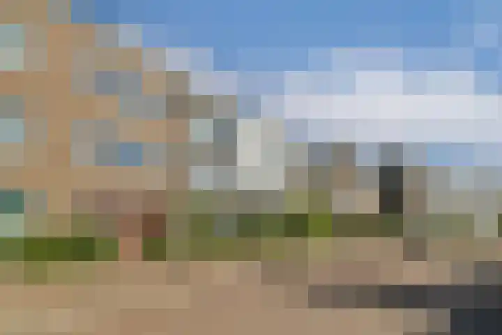 IJsseloogwal 17 Gouda thumbnail 5