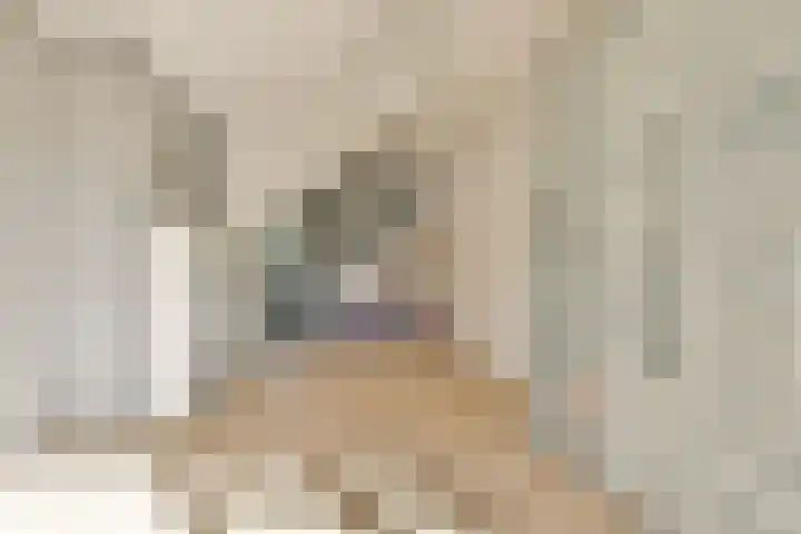 IJsseloogwal 17 Gouda thumbnail 8