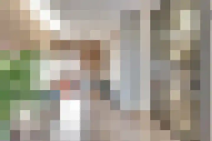 IJsseloogwal 33 Gouda thumbnail 10