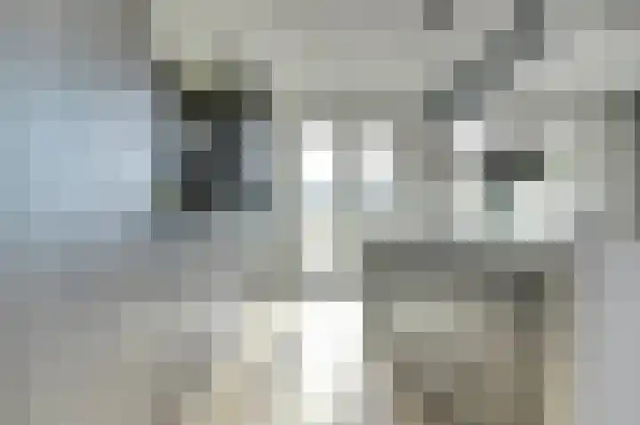 IJsseloogwal 33 Gouda thumbnail 22