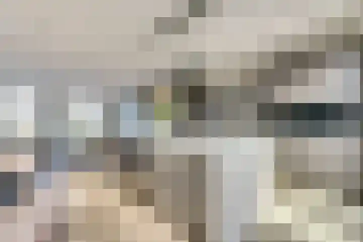 IJsseloogwal 33 Gouda thumbnail 23