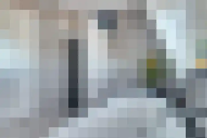 IJsseloogwal 33 Gouda thumbnail 38
