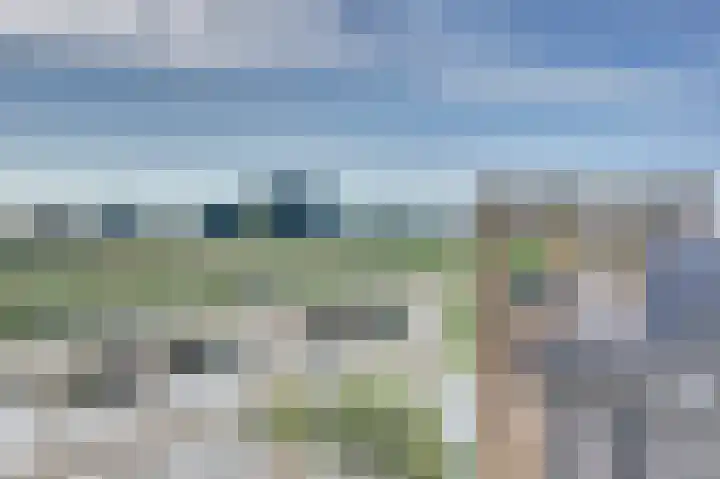 IJsseloogwal 33 Gouda thumbnail 42