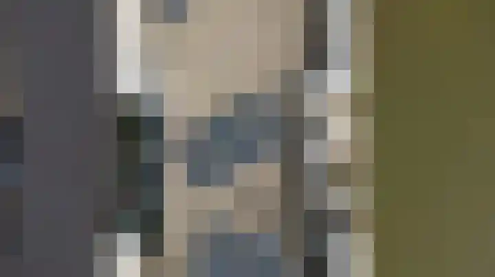 IJsseloogwal 33 Gouda thumbnail 46