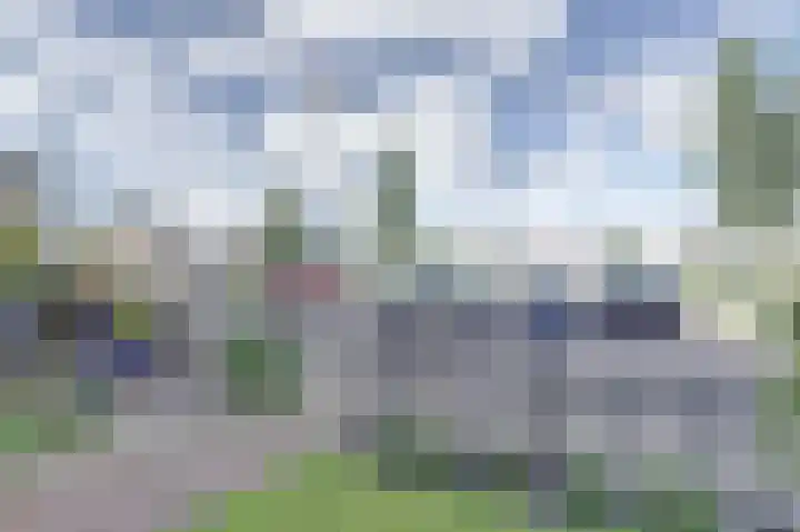 IJsseloogwal 33 Gouda thumbnail 6
