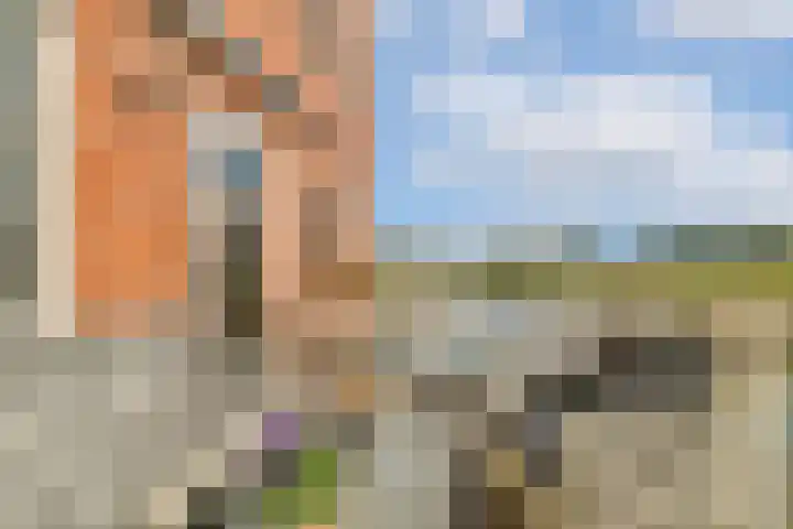IJsseloogwal 39 Gouda thumbnail 19