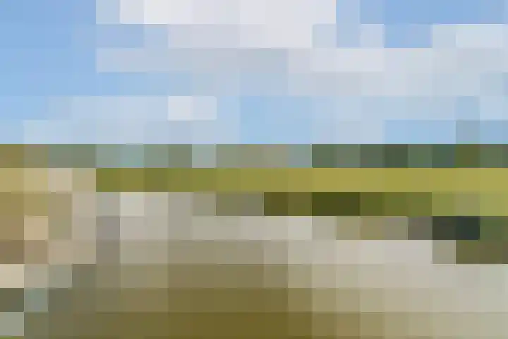 IJsseloogwal 39 Gouda thumbnail 20