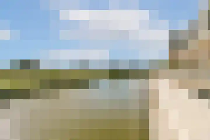 IJsseloogwal 39 Gouda thumbnail 21