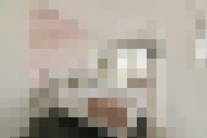 IJsseloogwal 39 Gouda thumbnail 31