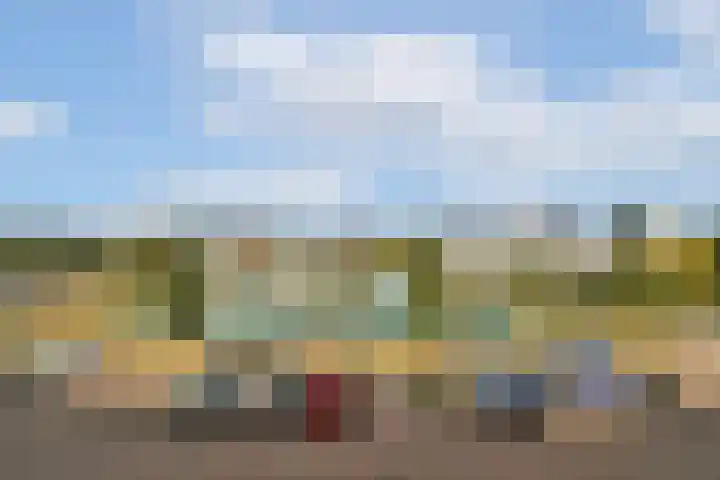 IJsseloogwal 39 Gouda thumbnail 35