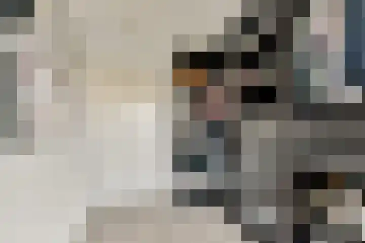 IJsseloogwal 39 Gouda thumbnail 36