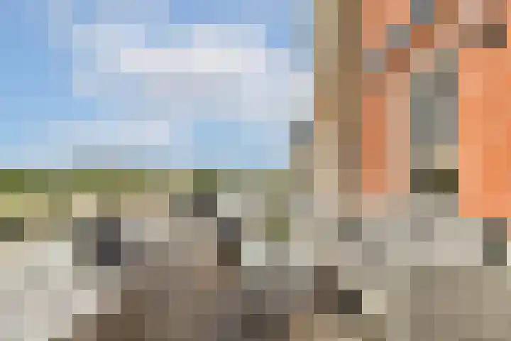 IJsseloogwal 39 Gouda thumbnail 4
