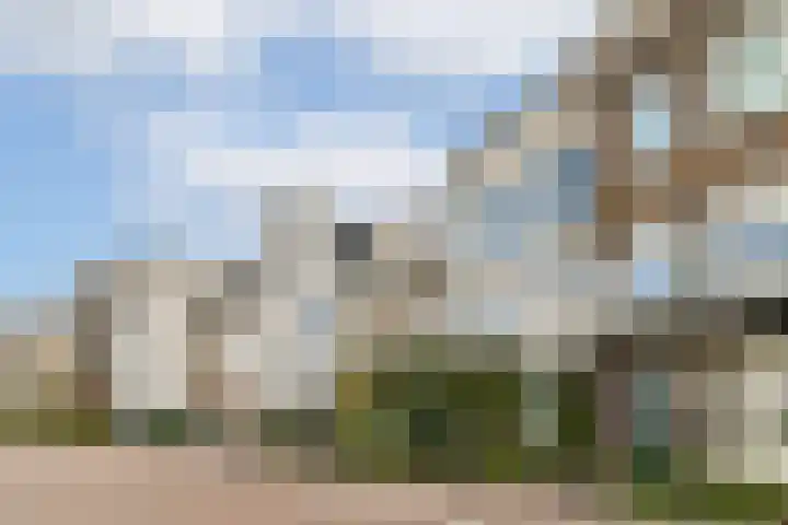 IJsseloogwal 39 Gouda thumbnail 6