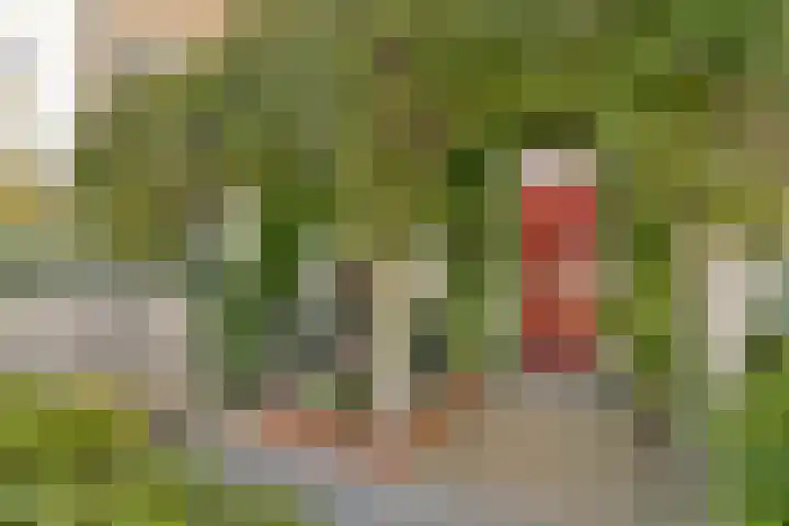 IJsseloogwal 39 Gouda thumbnail 7