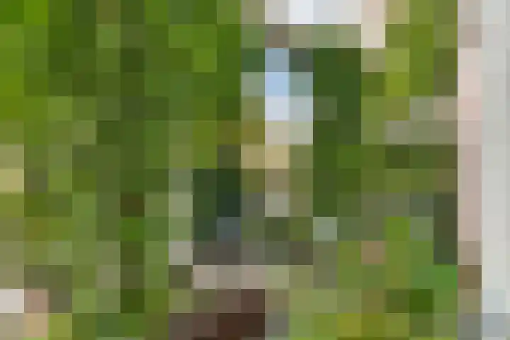 IJsseloogwal 39 Gouda thumbnail 8