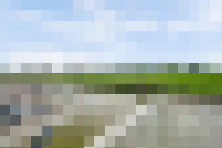 IJsseloogwal 43 Gouda thumbnail 17