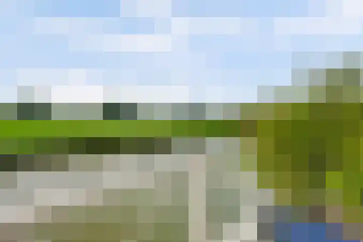 IJsseloogwal 43 Gouda thumbnail 18