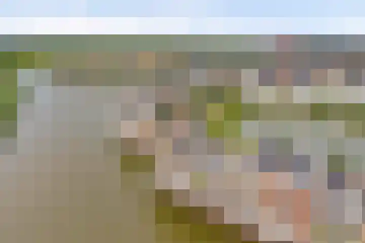 IJsseloogwal 43 Gouda thumbnail 31