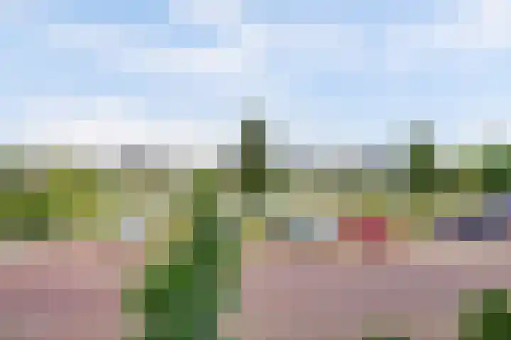 IJsseloogwal 43 Gouda thumbnail 32