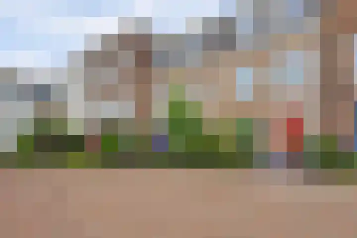 IJsseloogwal 43 Gouda thumbnail 33