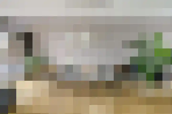 IJsseloogwal 43 Gouda thumbnail 4