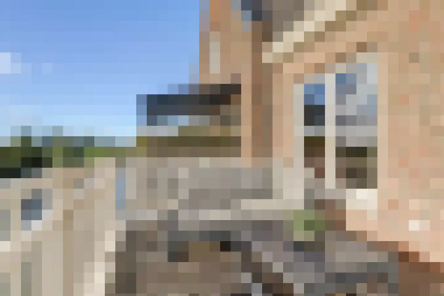 IJsseloogwal 45 Gouda thumbnail 29