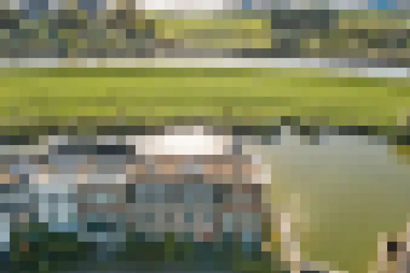 IJsseloogwal 45 Gouda thumbnail 42