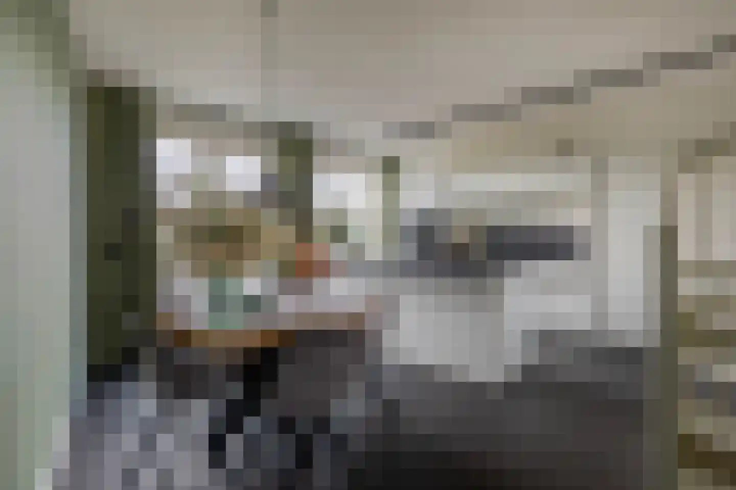 IJsseloogwal 57 Gouda thumbnail 10
