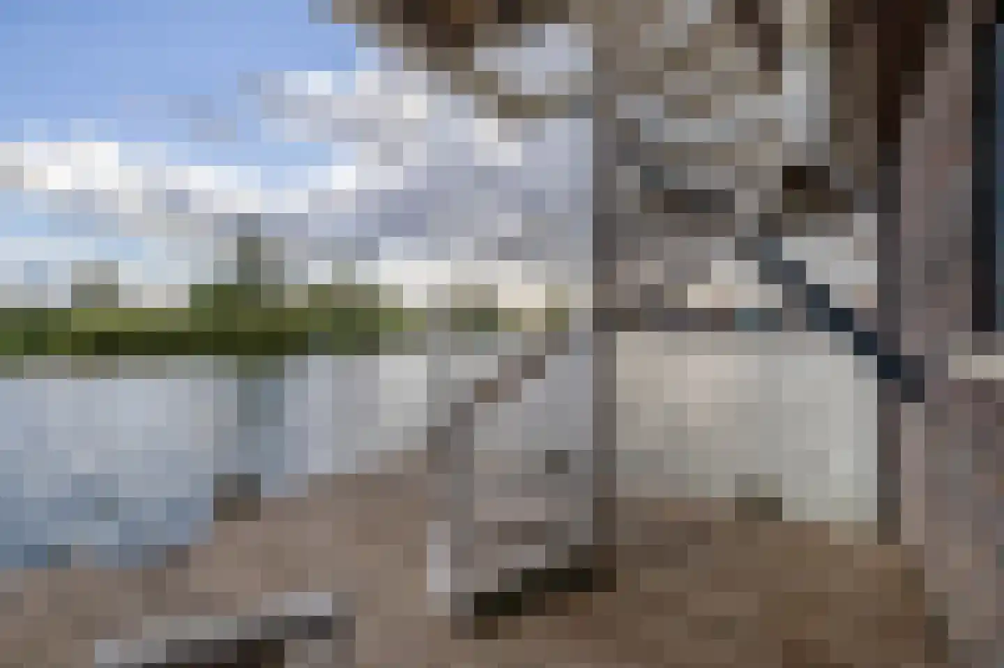 IJsseloogwal 57 Gouda thumbnail 19