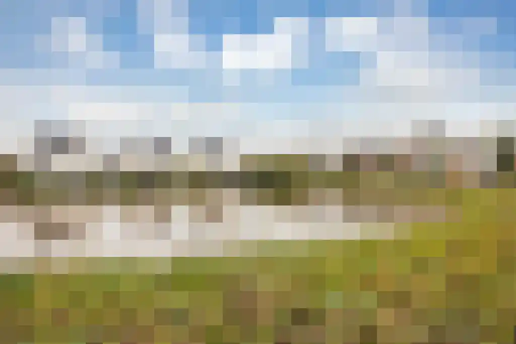 IJsseloogwal 57 Gouda thumbnail 35