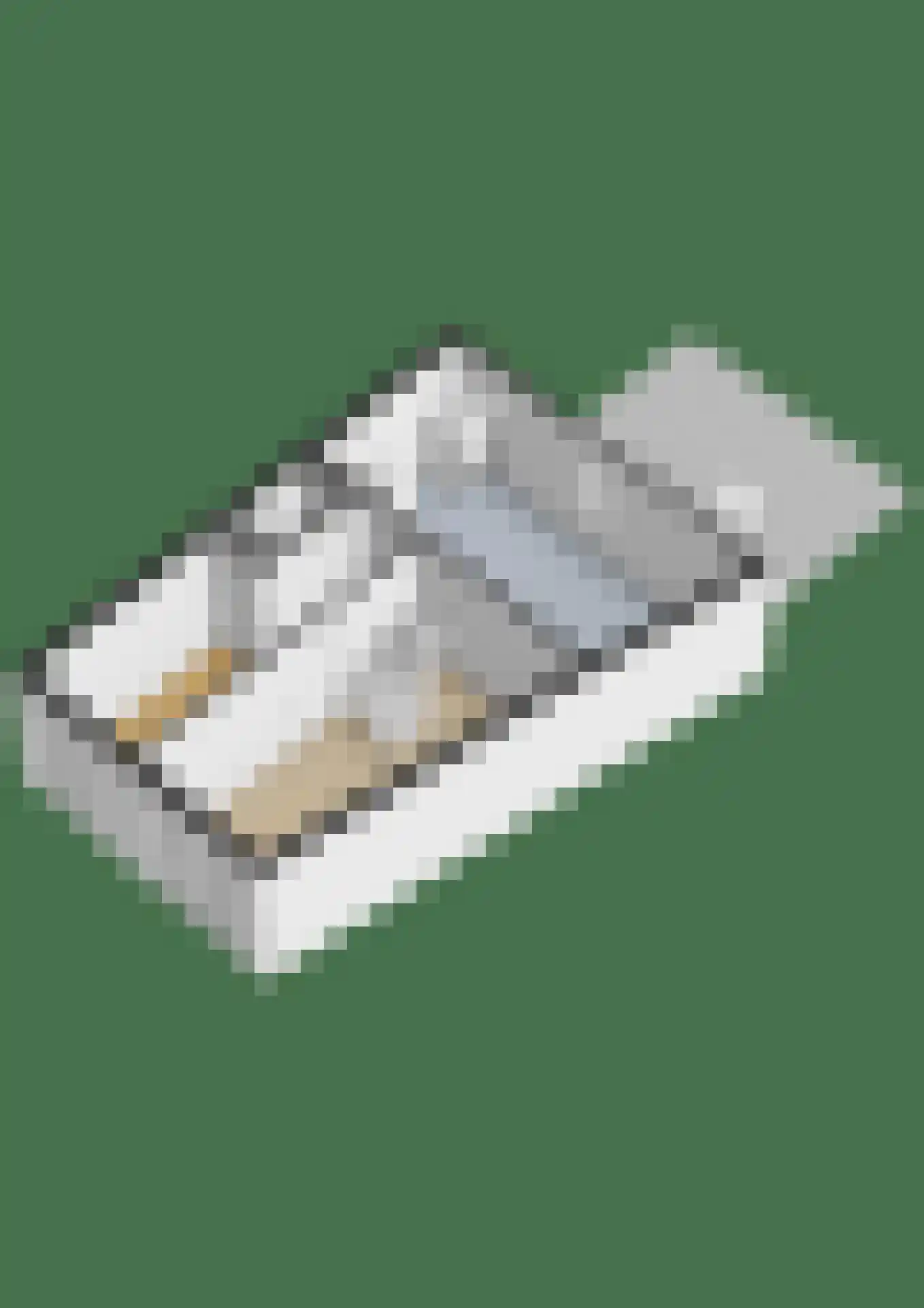 IJsseloogwal 57 Gouda thumbnail 39