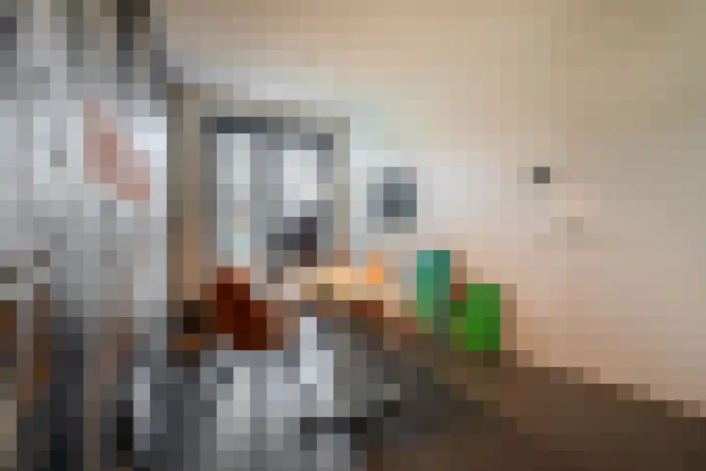 IJsseloogwal 57 Gouda thumbnail 7