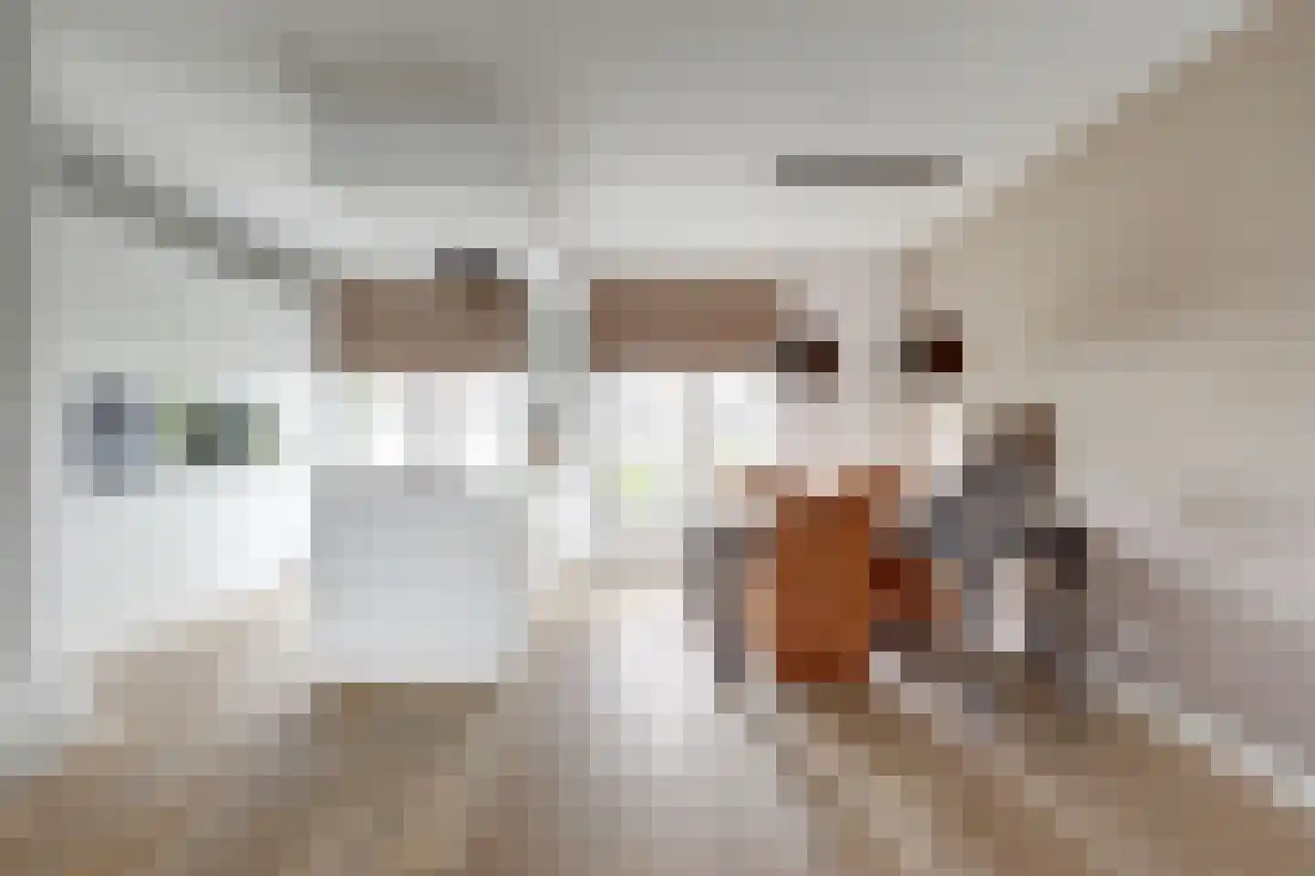 IJsseloogwal 75 Gouda thumbnail 18